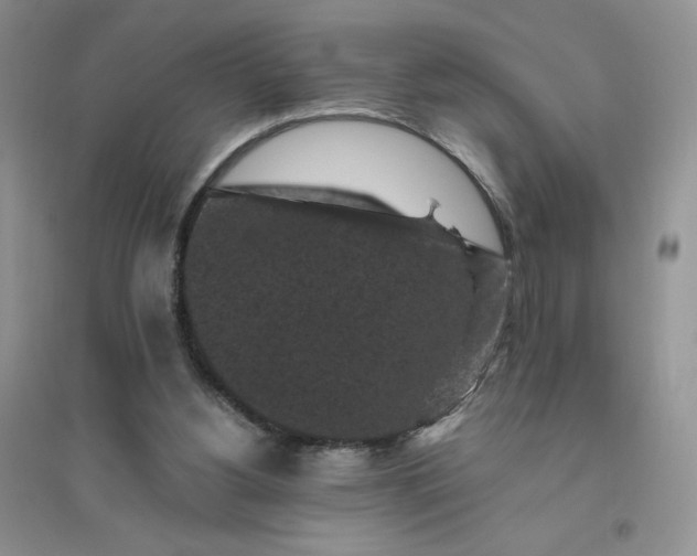 X0000096410156200802071702