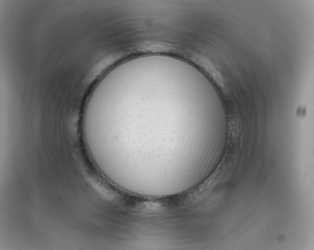 X0000096410159200802071702