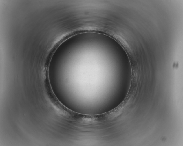 X0000096410160200802071702