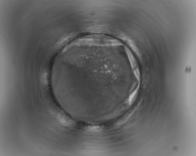 X0000096410161200802071702