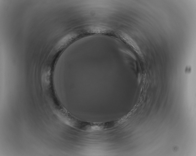 X0000096410163200802071702