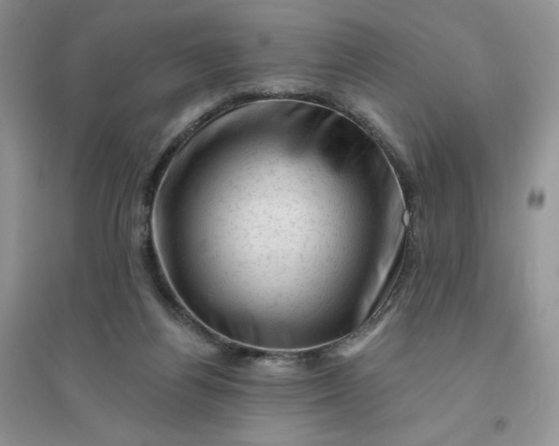 X0000096410164200802071702