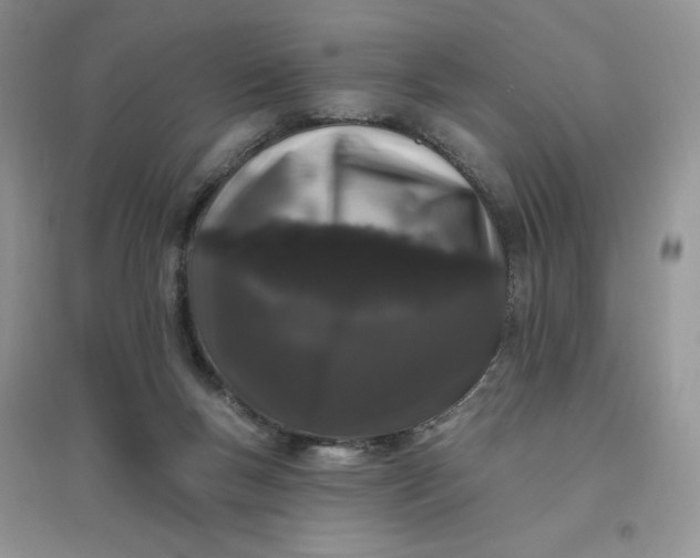 X0000096410167200802071702