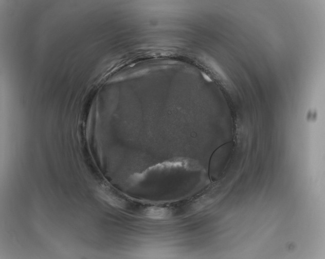 X0000096410169200802071702