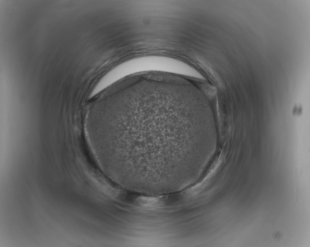 X0000096410170200802071702