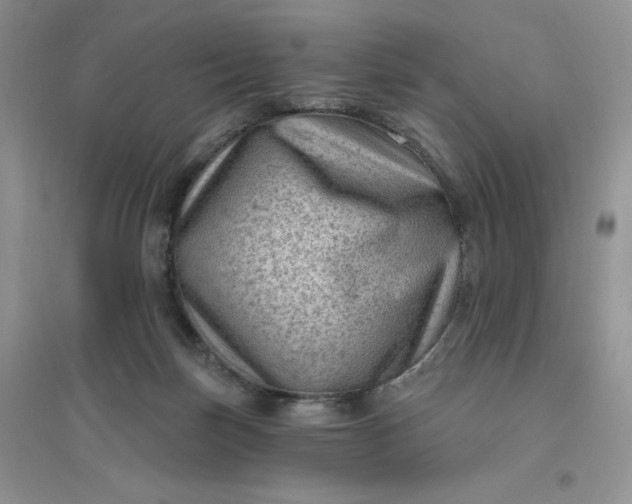 X0000096410171200802071702