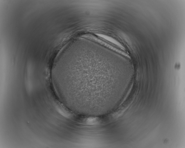 X0000096410173200802071702