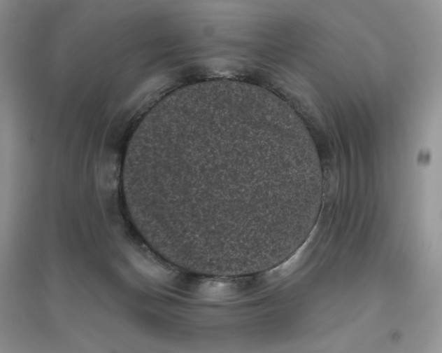 X0000096410174200802071702