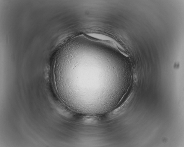 X0000096410175200802071702