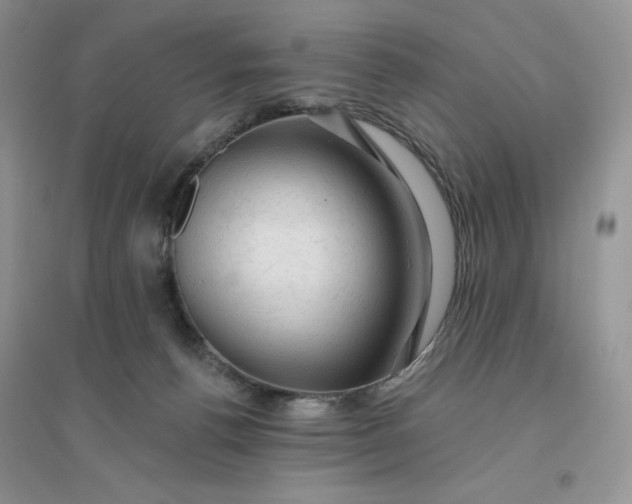 X0000096410176200802071702