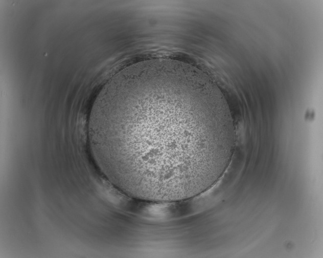 X0000096410178200802071702