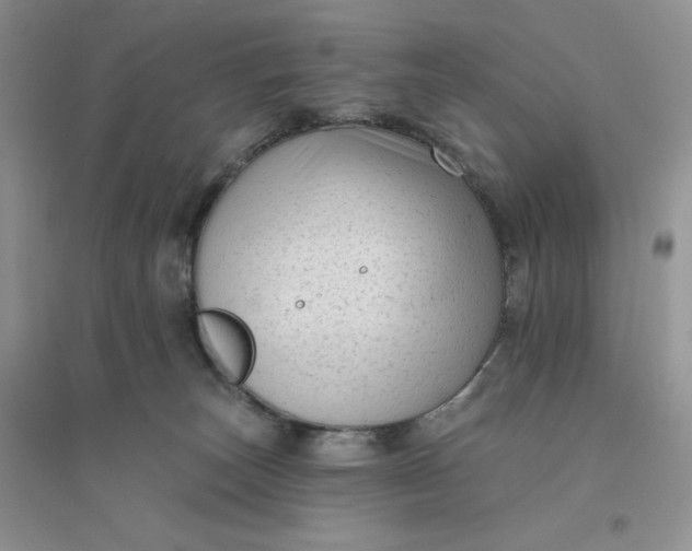 X0000096410179200802071702