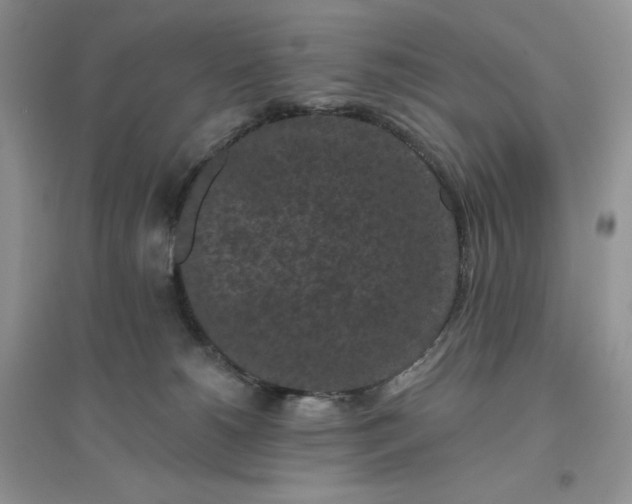 X0000096410180200802071702