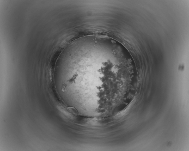 X0000096410182200802071702