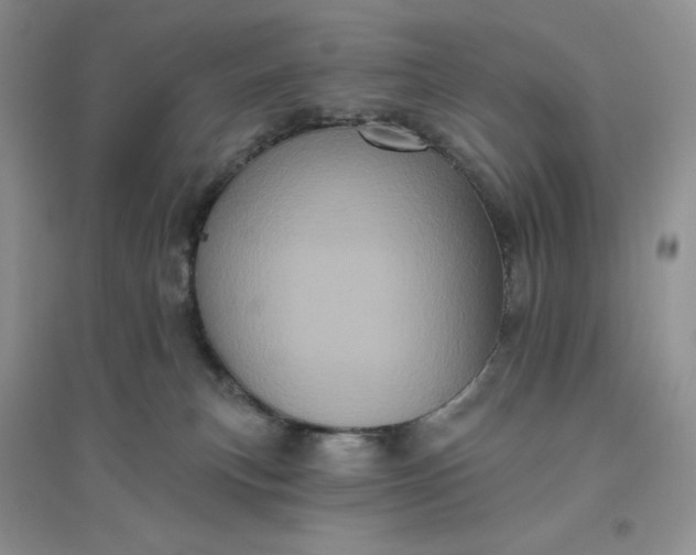 X0000096410183200802071702