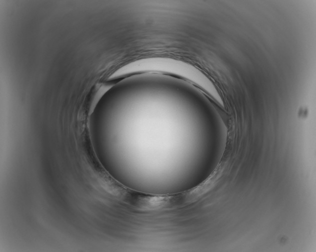 X0000096410184200802071702