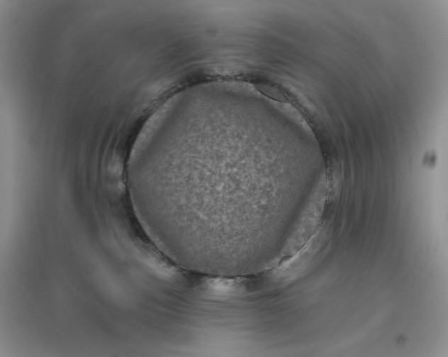 X0000096410187200802071702