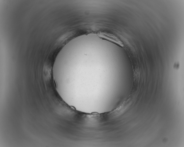 X0000096410188200802071702