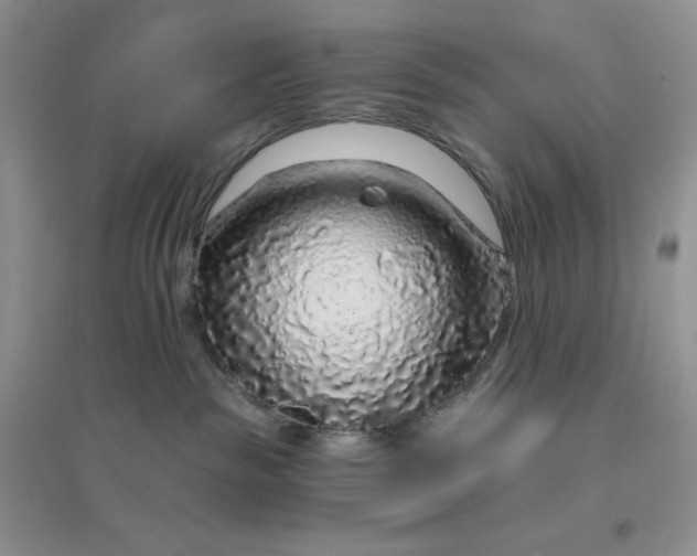 X0000096410189200802071702