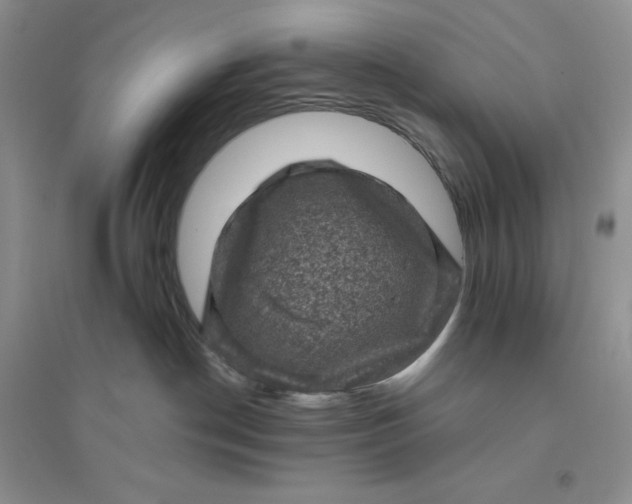 X0000096410190200802071702