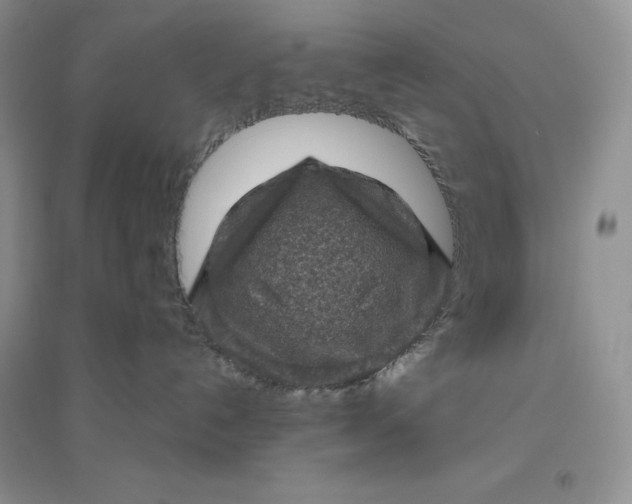 X0000096410192200802071702