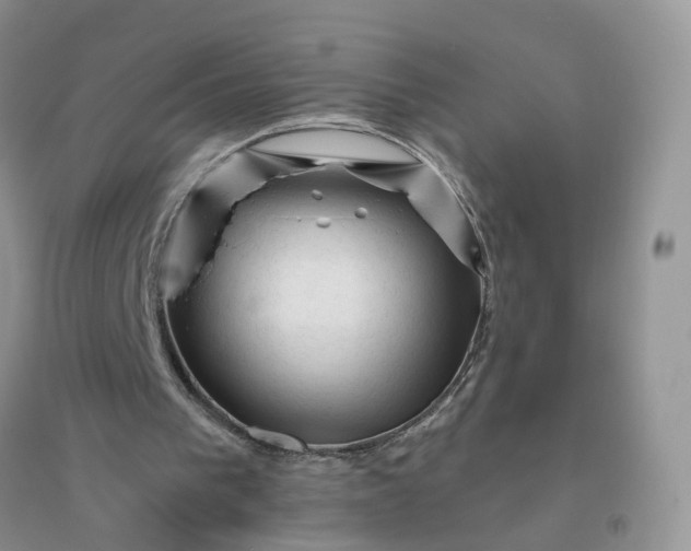 X0000096410193200802071702