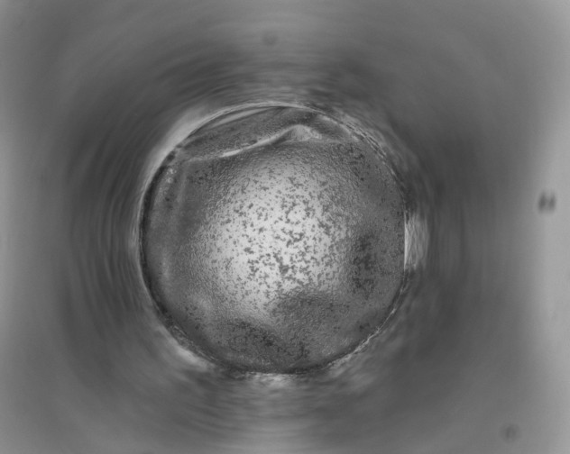 X0000096410195200802071702