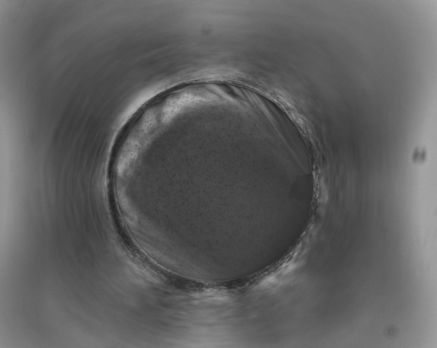 X0000096410196200802071702