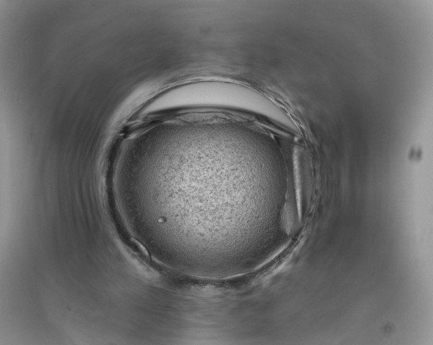 X0000096410197200802071702