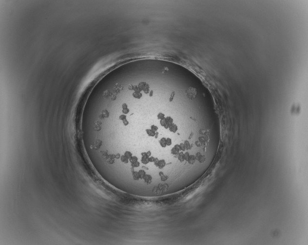 X0000096410198200802071702