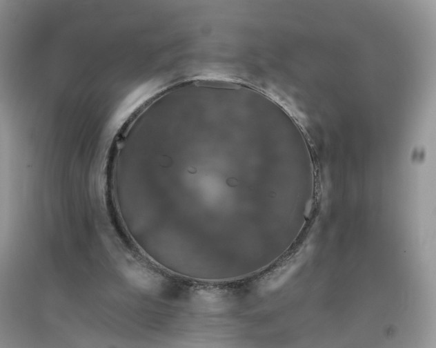 X0000096410199200802071702