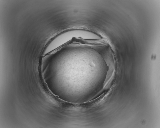 X0000096410201200802071702