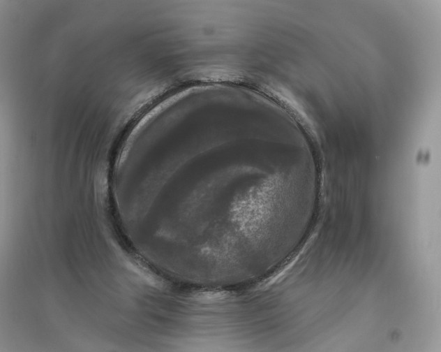 X0000096410202200802071702