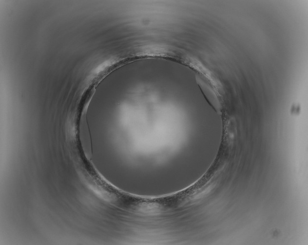 X0000096410203200802071702