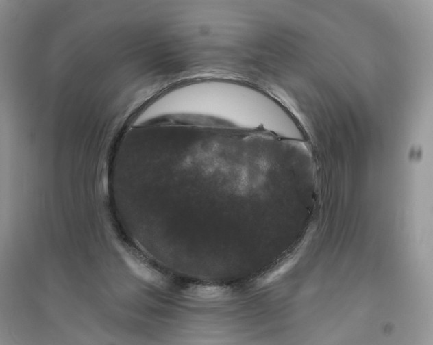 X0000096410205200802071702