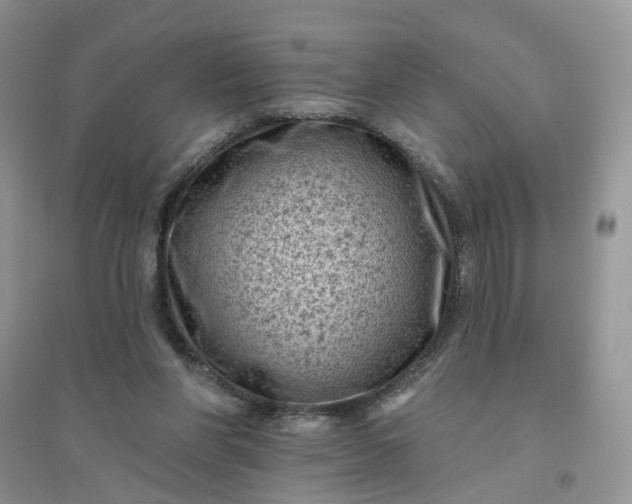 X0000096410206200802071702