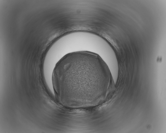 X0000096410207200802071702