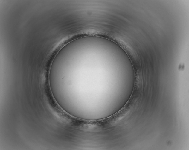 X0000096410208200802071702