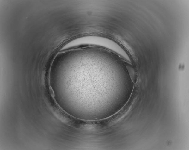 X0000096410209200802071701