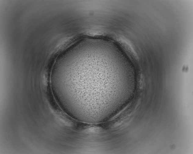 X0000096410210200802071701