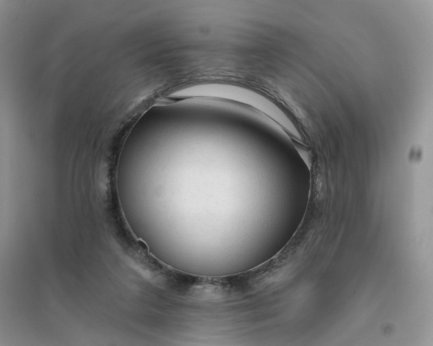 X0000096410211200802071701