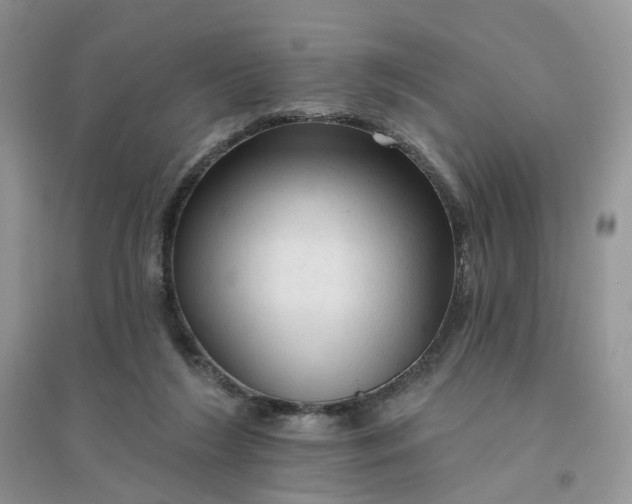 X0000096410212200802071701