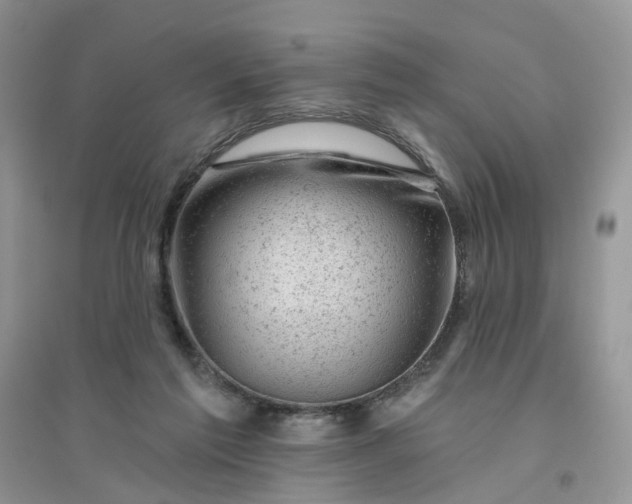 X0000096410213200802071701