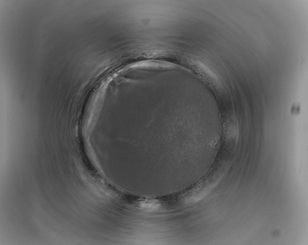 X0000096410214200802071701