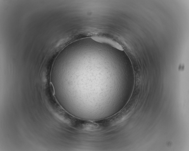 X0000096410215200802071701