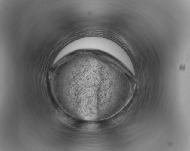 X0000096410217200802071701