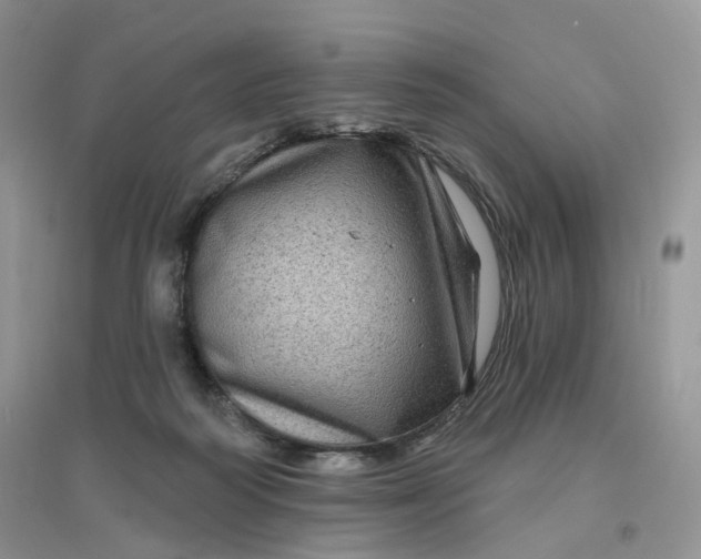 X0000096410218200802071701