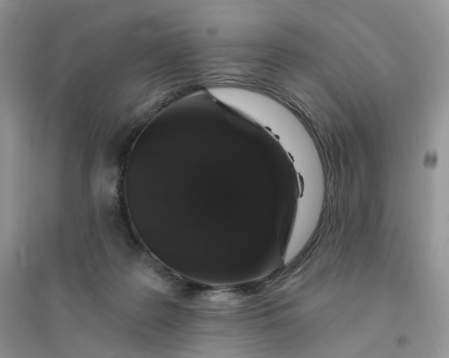 X0000096410219200802071701