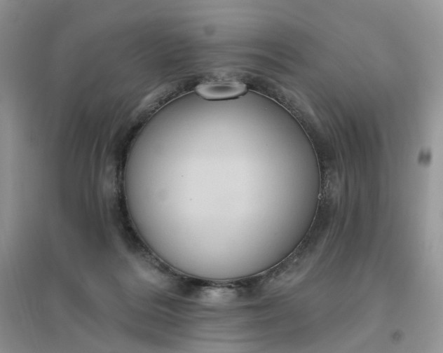 X0000096410220200802071701