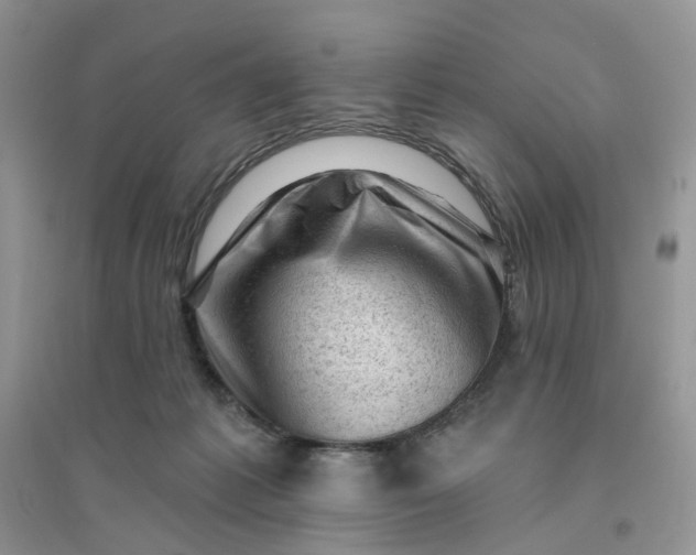 X0000096410221200802071701